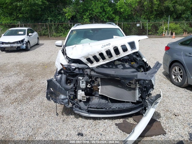 Jeep Cherokee Limited 4x4 2019 1C4PJMDX4KD191217 Image 13