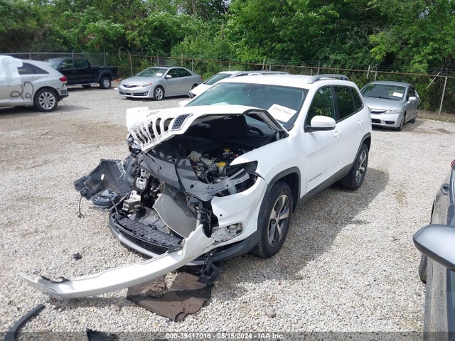 Jeep Cherokee Limited 4x4 2019 1C4PJMDX4KD191217 Image 2