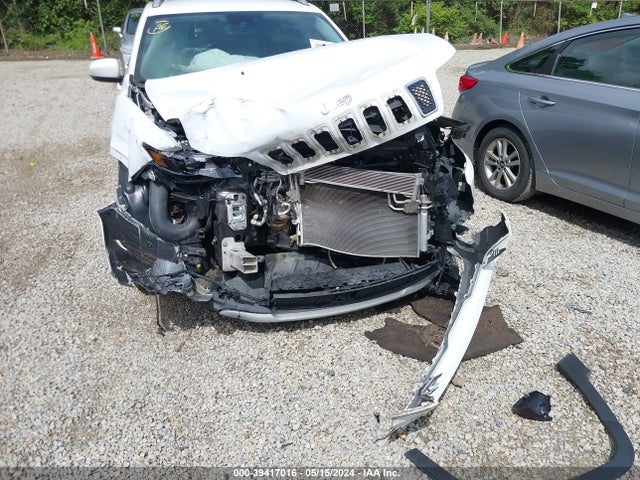 Jeep Cherokee Limited 4x4 2019 1C4PJMDX4KD191217 Image 6