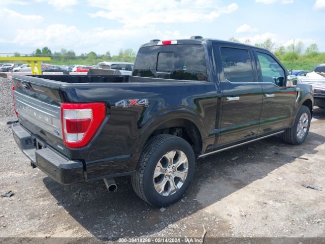 1FTFW1E84PFC05096 Ford F-150 Platinum