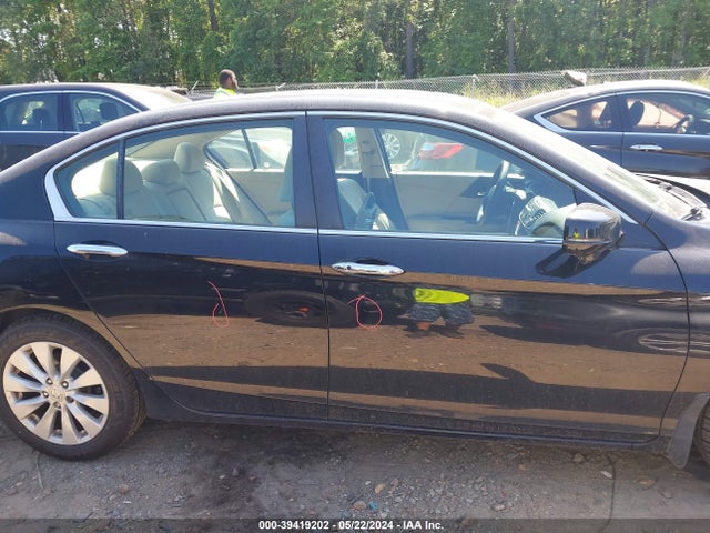Honda ACCORD EX 2014 1HGCR2F74EA083485 Image 13