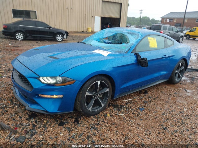Ford Mustang Ecoboost Fastback 2021 1FA6P8TH5M5148228 Image 2