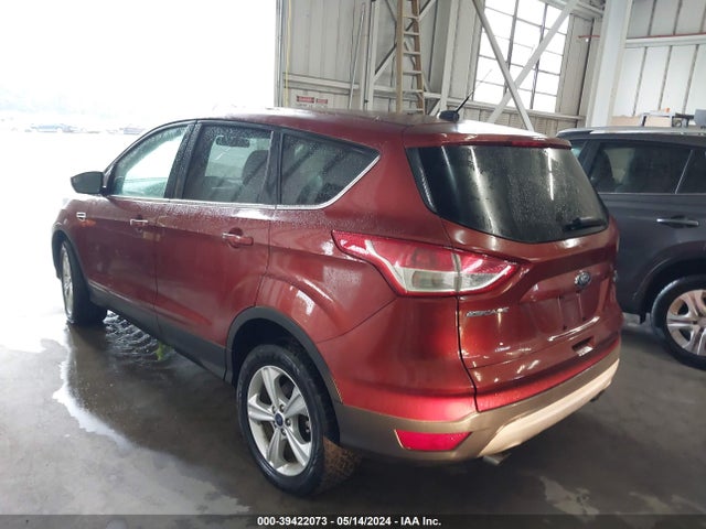 Ford ESCAPE SE 2014 1FMCU0GX1EUB22317 Image 3