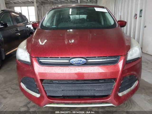 Ford ESCAPE SE 2014 1FMCU0GX1EUB22317 Image 6