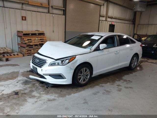 5NPE24AF4GH355647 Hyundai SONATA SE