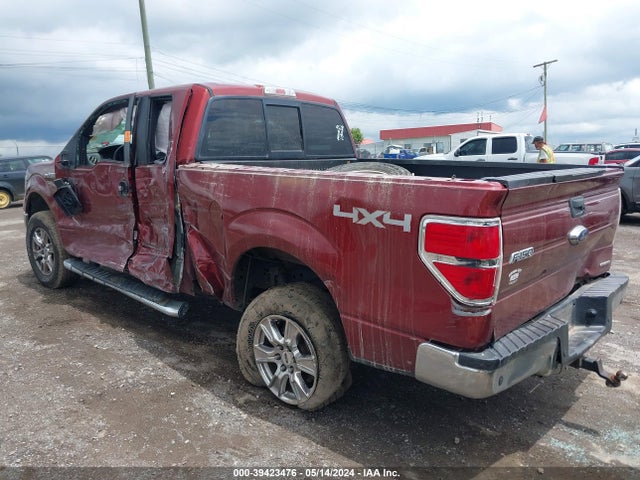 Ford F-150 Xlt 2014 1FTFX1EF8EKE62536 Image 3