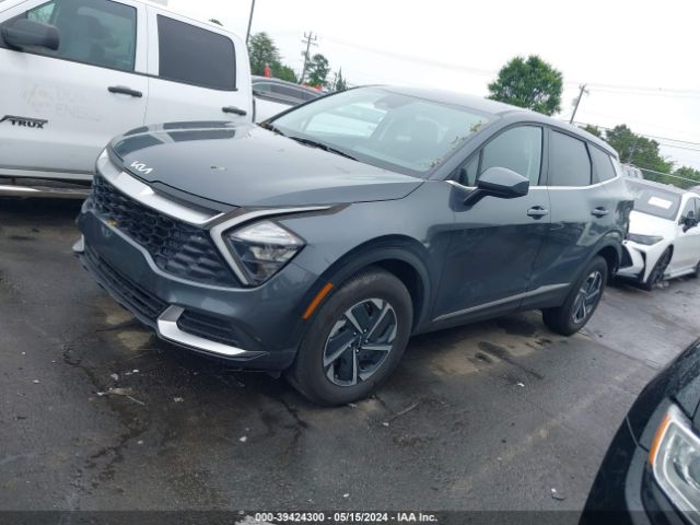 KNDPUCAG0P7093930 KIA Sportage Hybrid Lx