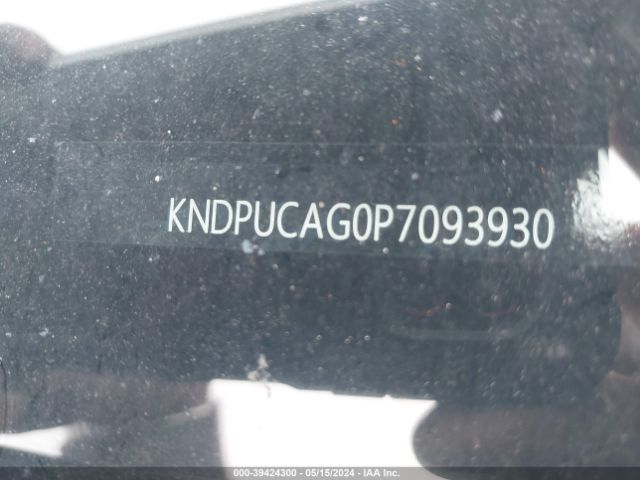KNDPUCAG0P7093930 KIA Sportage Hybrid Lx