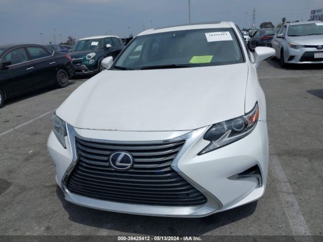 JTHBW1GG6G2111116 Lexus ES 300H
