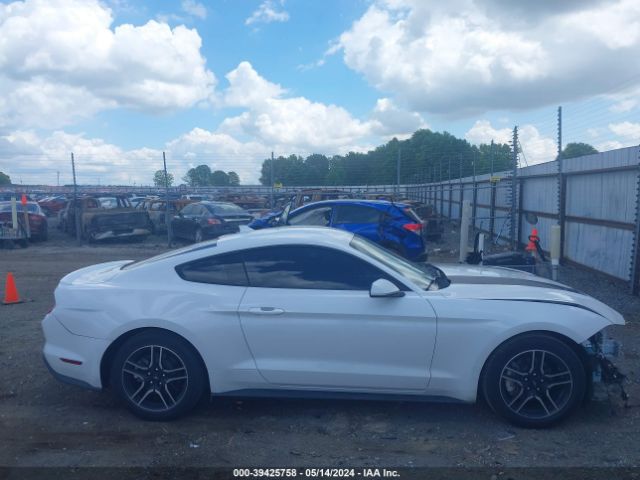 1FA6P8THXL5161782 Ford Mustang Ecoboost Fastback