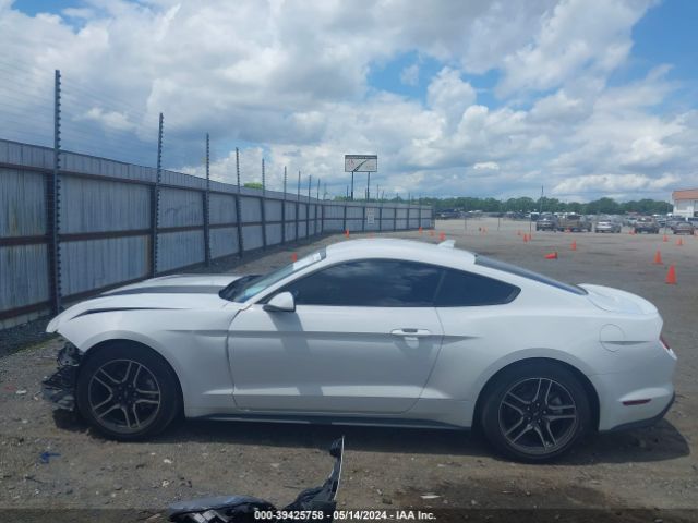 1FA6P8THXL5161782 Ford Mustang Ecoboost Fastback
