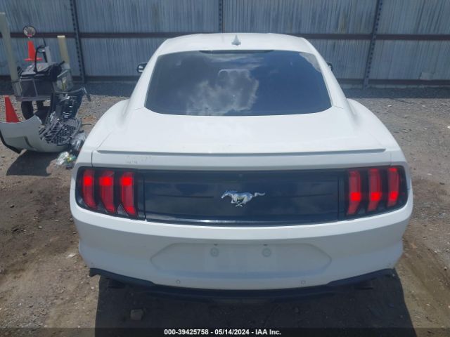 1FA6P8THXL5161782 Ford Mustang Ecoboost Fastback