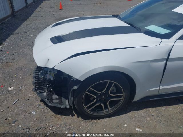 1FA6P8THXL5161782 Ford Mustang Ecoboost Fastback