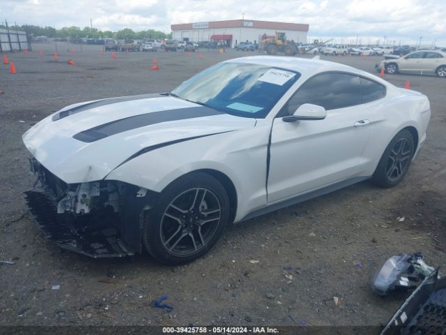 1FA6P8THXL5161782 Ford Mustang Ecoboost Fastback