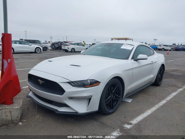 Ford Mustang Ecoboost Fastback 2022 1FA6P8TH1N5135493 Image 2