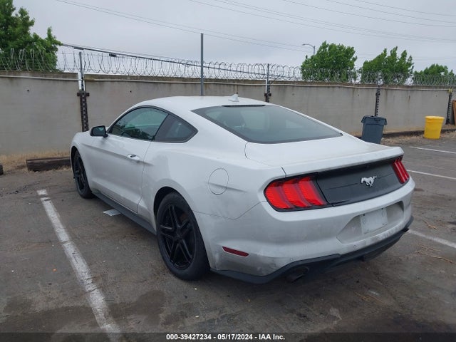 Ford Mustang Ecoboost Fastback 2022 1FA6P8TH1N5135493 Image 3