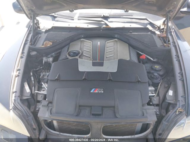 2010 BMW X5 M 5YMGY0C56ALK25092 Photo 9