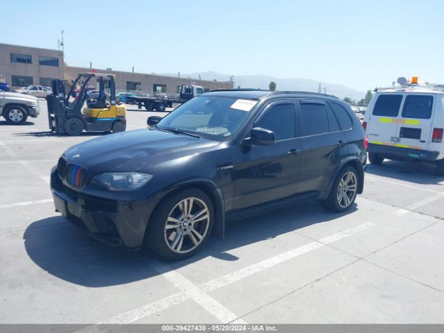 2010 BMW X5 M 5YMGY0C56ALK25092 Photo 1