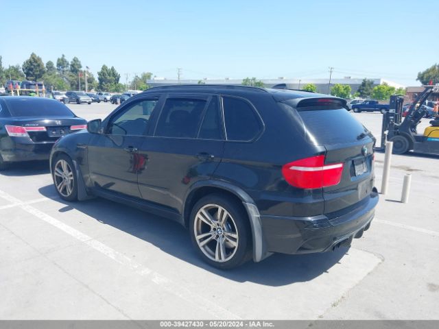 2010 BMW X5 M 5YMGY0C56ALK25092 Photo 2