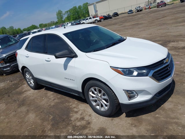 Chevrolet EQUINOX LS 2019 3GNAXHEV6KS640767 главное изображение