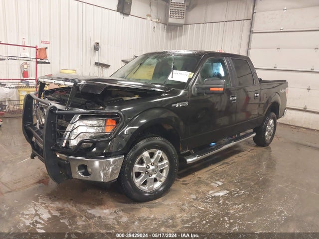 Ford F-150 Xlt 2014 1FTFW1EF2EKG48513 Image 2