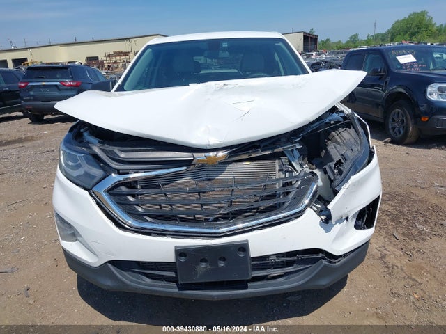 Chevrolet EQUINOX LS 2019 2GNAXHEV4K6117990 Image 12