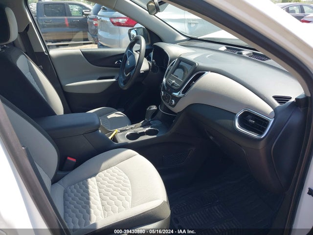 Chevrolet EQUINOX LS 2019 2GNAXHEV4K6117990 Image 5