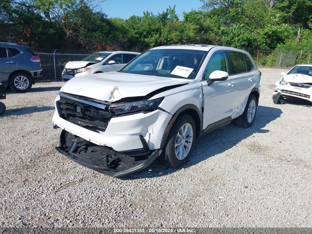 Honda Cr-v Ex Awd 2024 5J6RS4H41RL006279 Image 2