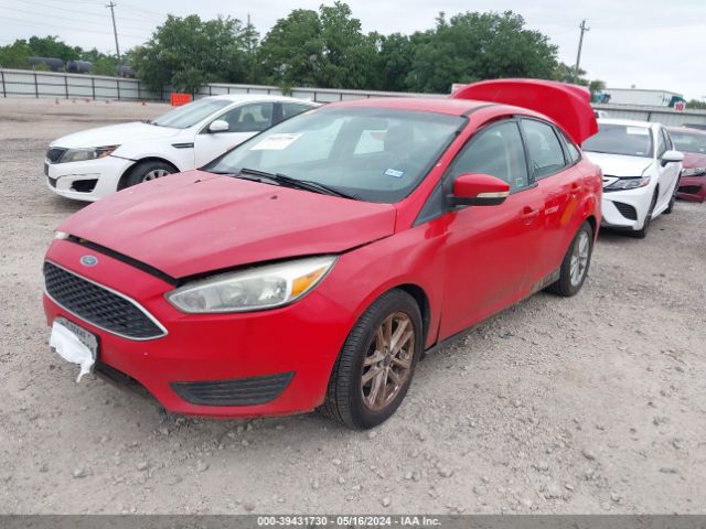 1FADP3F26FL205956 Ford FOCUS SE