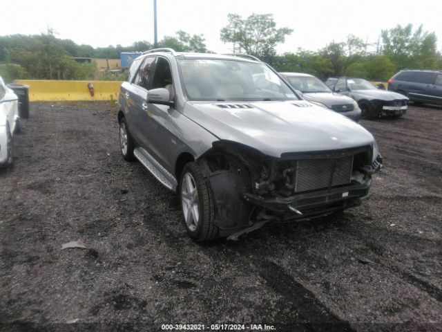 4JGDA5GB9FA558771 auction archive image