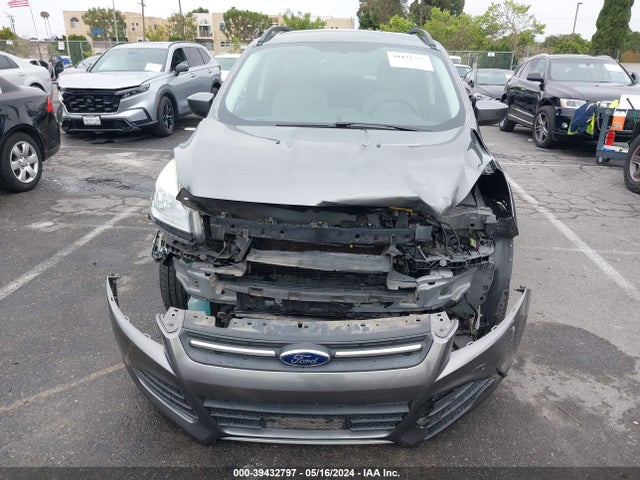 Ford ESCAPE SE 2014 1FMCU0G93EUE58214 Image 6