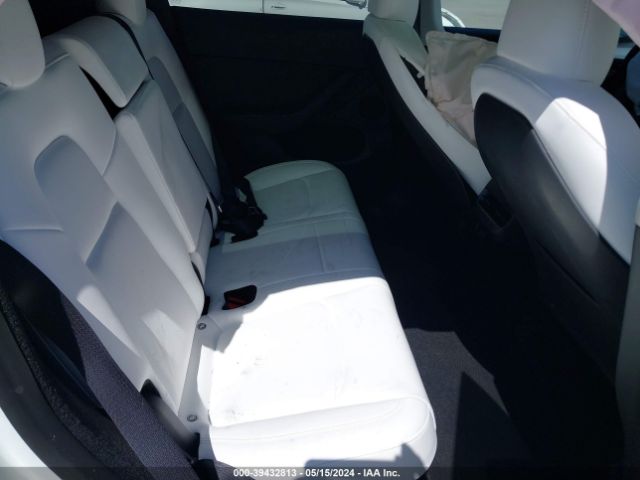 2023 TESLA MODEL Y 7SAYGDEF1PF737791 Photo 7