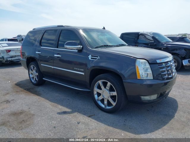 Auction sale of the 2010 Cadillac Escalade Luxury, vin: 1GYUCBEF9AR156014, lot number: 39433124