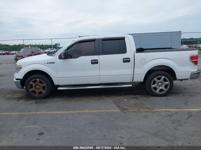 Ford F-150 Xlt 2014 1FTFW1CF2EKF43621 Image 14