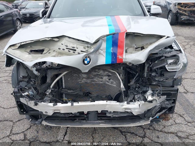 BMW X3 Sdrive30i 2019 5UXTR7C53KLF27939 Image 6