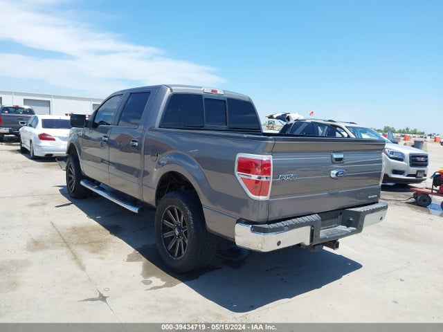 Ford F-150 Xlt 2014 1FTFW1CF4EKE97922 Image 3