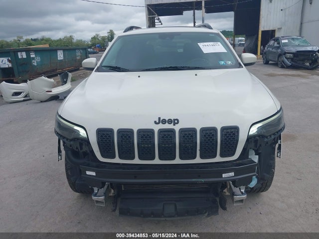 Jeep Cherokee Overland 4x4 2019 1C4PJMJN4KD385443 Image 6
