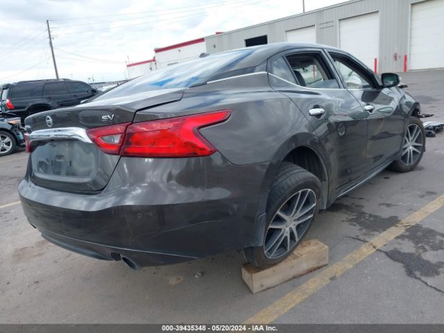 1N4AA6AP4GC395881 Nissan Maxima 3.5 Sv