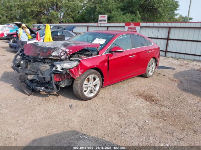 5NPE34AF2JH662240 Hyundai SONATA SEL