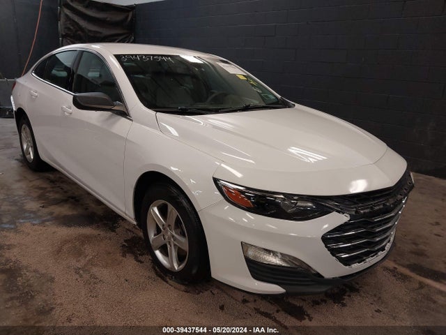 2019 1G1ZC5ST0KF157703 main image