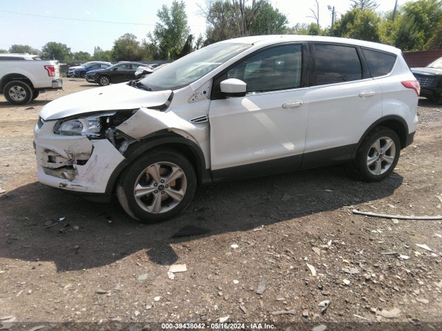 Ford ESCAPE SE 2016 1FMCU9GX2GUC81886 Image 2