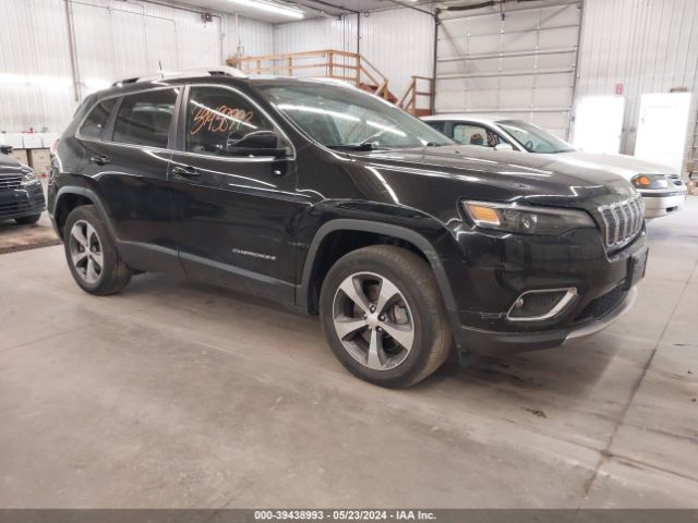 1C4PJMDX1LD579829 auction archive image