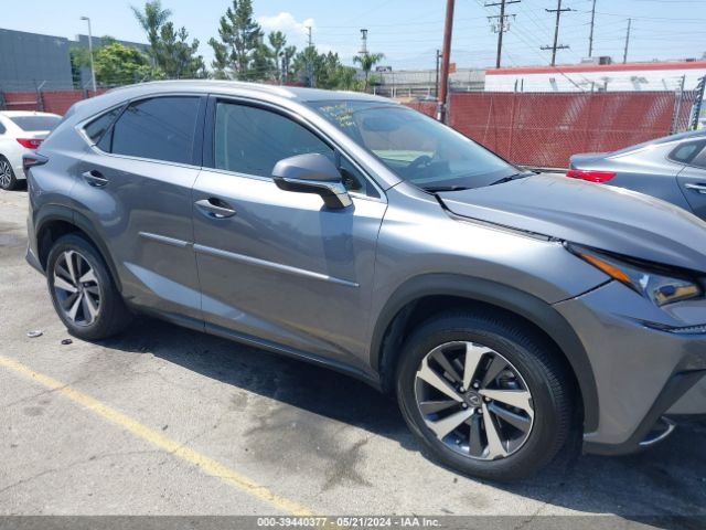 JTJGJRDZ5L2141919 Lexus NX 300H