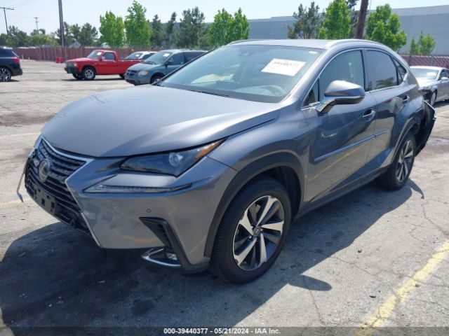 JTJGJRDZ5L2141919 Lexus NX 300H