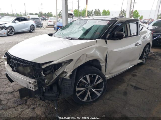 1N4AA6AP3HC382377 Nissan Maxima 3.5 Platinum
