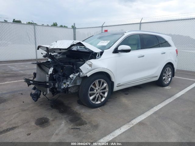 5XYPKDA59HG239093 KIA Sorento 3.3l Sxl