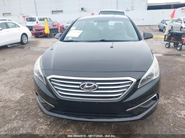 5NPE24AF1GH388878 Hyundai SONATA SE