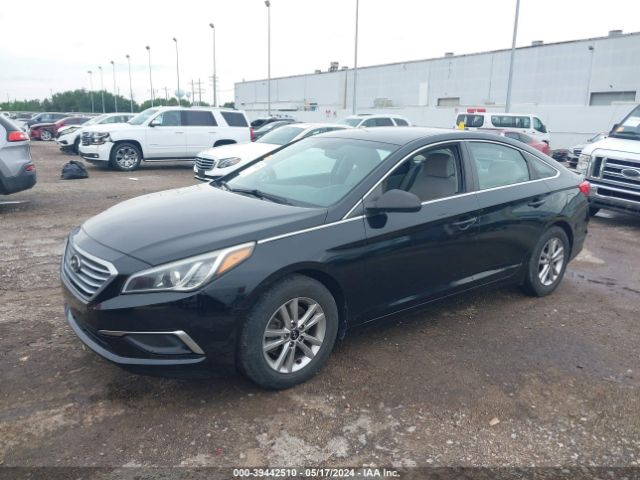 5NPE24AF1GH388878 Hyundai SONATA SE