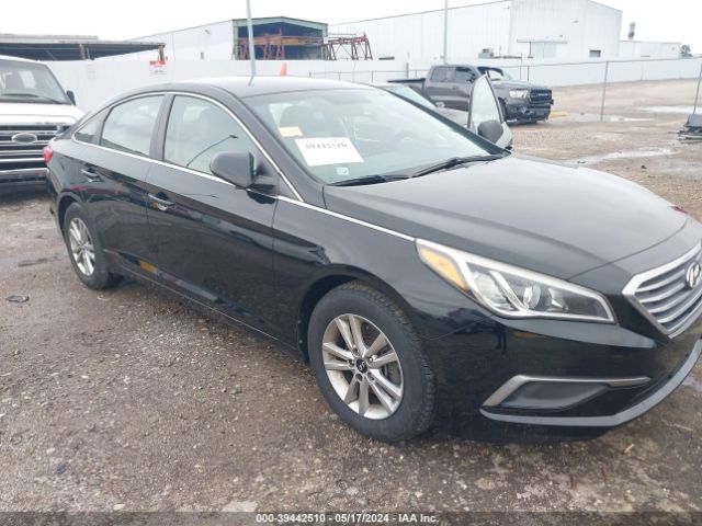 5NPE24AF1GH388878 Hyundai SONATA SE