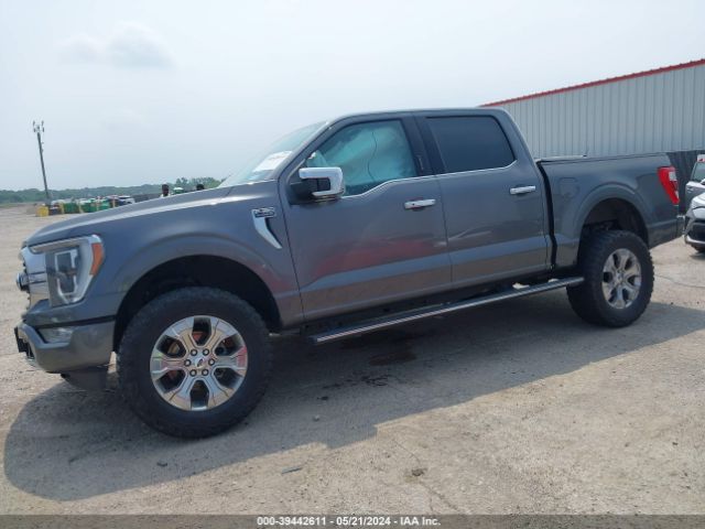 1FTEW1C85MFB01839 Ford F-150 Platinum